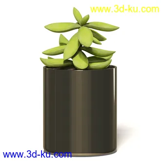 室内植物模型,盆景,盆栽,仙人掌,虎尾兰,白子菜,多肉,月季花,薰衣草,波斯-顿蕨,满天星等植物模型30个的图片