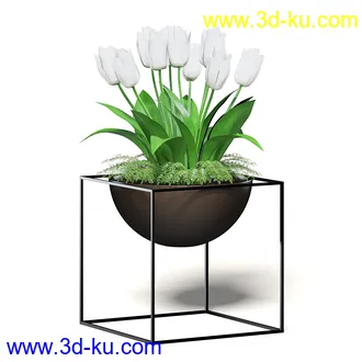 室内植物模型,盆景,盆栽,仙人掌,虎尾兰,白子菜,多肉,月季花,薰衣草,波斯-顿蕨,满天星等植物模型30个的图片