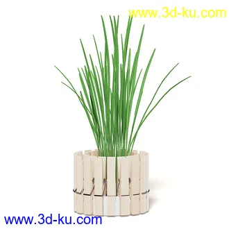 室内植物模型,盆景,盆栽,仙人掌,虎尾兰,白子菜,多肉,月季花,薰衣草,波斯-顿蕨,满天星等植物模型30个的图片