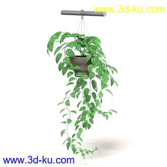 室内植物模型,盆景,盆栽,仙人掌,虎尾兰,白子菜,多肉,月季花,薰衣草,波斯-顿蕨,满天星等植物模型30个的图片