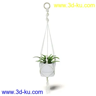室内植物模型,盆景,盆栽,仙人掌,虎尾兰,白子菜,多肉,月季花,薰衣草,波斯-顿蕨,满天星等植物模型30个的图片
