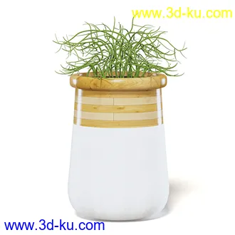 室内植物模型,盆景,盆栽,仙人掌,虎尾兰,白子菜,多肉,月季花,薰衣草,波斯-顿蕨,满天星等植物模型30个的图片