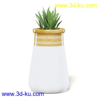 室内植物模型,盆景,盆栽,仙人掌,虎尾兰,白子菜,多肉,月季花,薰衣草,波斯-顿蕨,满天星等植物模型30个的图片
