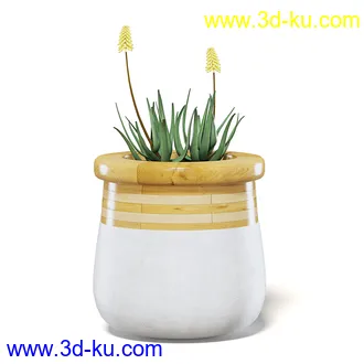 室内植物模型,盆景,盆栽,仙人掌,虎尾兰,白子菜,多肉,月季花,薰衣草,波斯-顿蕨,满天星等植物模型30个的图片