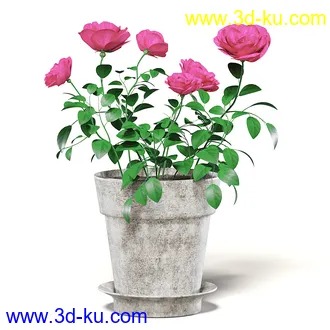 室内植物模型,盆景,盆栽,仙人掌,虎尾兰,白子菜,多肉,月季花,薰衣草,波斯-顿蕨,满天星等植物模型30个的图片