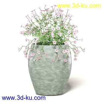 室内植物模型,盆景,盆栽,仙人掌,虎尾兰,白子菜,多肉,月季花,薰衣草,波斯-顿蕨,满天星等植物模型30个的图片