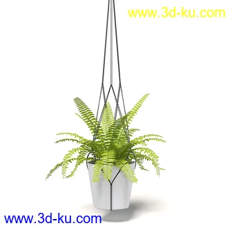 室内植物模型,盆景,盆栽,仙人掌,虎尾兰,白子菜,多肉,月季花,薰衣草,波斯-顿蕨,满天星等植物模型30个的图片