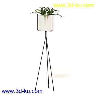 室内植物模型,盆景,盆栽,仙人掌,虎尾兰,白子菜,多肉,月季花,薰衣草,波斯-顿蕨,满天星等植物模型30个的图片