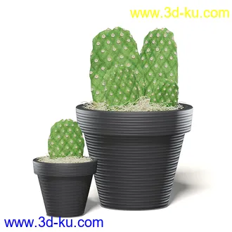 室内植物模型,盆景,盆栽,仙人掌,虎尾兰,白子菜,多肉,月季花,薰衣草,波斯-顿蕨,满天星等植物模型30个的图片