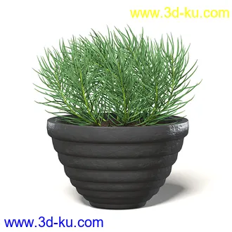 室内植物模型,盆景,盆栽,仙人掌,虎尾兰,白子菜,多肉,月季花,薰衣草,波斯-顿蕨,满天星等植物模型30个的图片