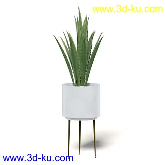 室内植物模型,盆景,盆栽,仙人掌,虎尾兰,白子菜,多肉,月季花,薰衣草,波斯-顿蕨,满天星等植物模型30个的图片
