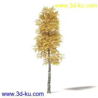 秋天树木模型合集,秋季树木,黄叶,各种秋天的树木模型共47个的图片