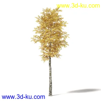 秋天树木模型合集,秋季树木,黄叶,各种秋天的树木模型共47个的图片