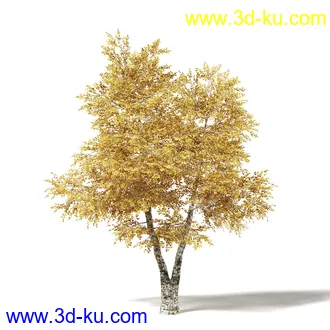 秋天树木模型合集,秋季树木,黄叶,各种秋天的树木模型共47个的图片