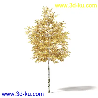 秋天树木模型合集,秋季树木,黄叶,各种秋天的树木模型共47个的图片