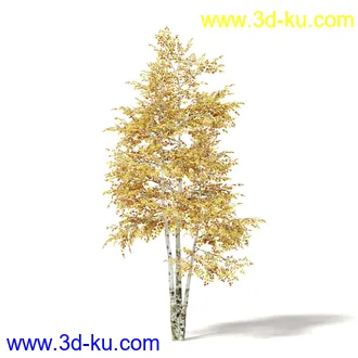 秋天树木模型合集,秋季树木,黄叶,各种秋天的树木模型共47个的图片