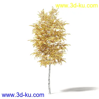 秋天树木模型合集,秋季树木,黄叶,各种秋天的树木模型共47个的图片