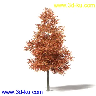 秋天树木模型合集,秋季树木,黄叶,各种秋天的树木模型共47个的图片