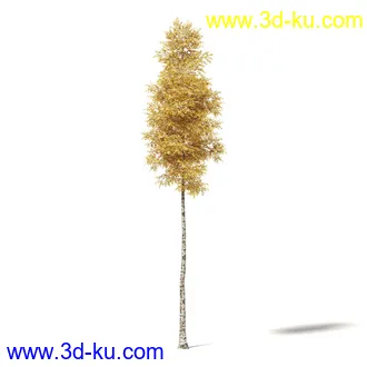 秋天树木模型合集,秋季树木,黄叶,各种秋天的树木模型共47个的图片