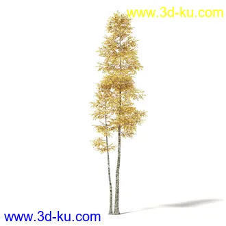 秋天树木模型合集,秋季树木,黄叶,各种秋天的树木模型共47个的图片