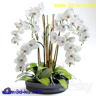 鲜花模型合集,玫瑰,康乃馨,菊花等花瓶鲜花模型的图片7