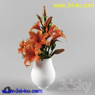 鲜花模型合集,玫瑰,康乃馨,菊花等花瓶鲜花模型的图片18
