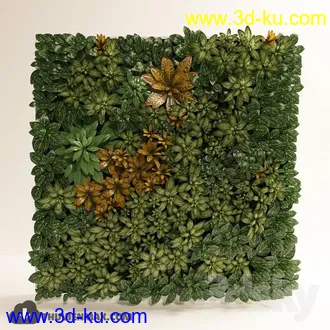 墙植物模型合集的图片
