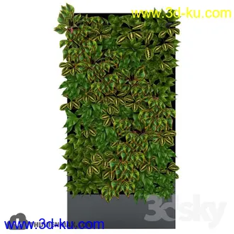 墙植物模型合集的图片