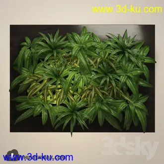 墙植物模型合集的图片