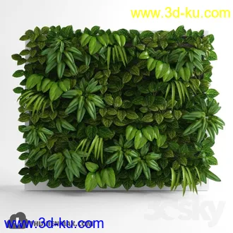 墙植物模型合集的图片
