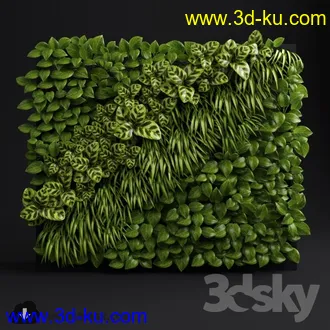 墙植物模型合集的图片