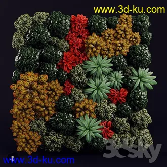 墙植物模型合集的图片