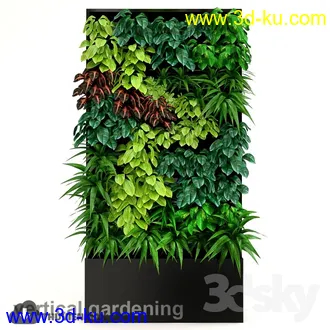墙植物模型合集的图片