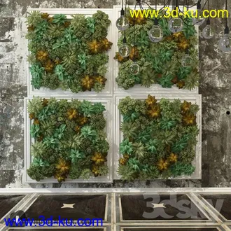 墙植物模型合集的图片20