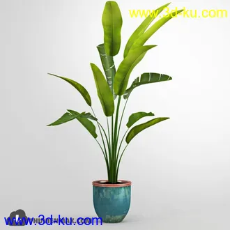 植物模型,盆景,盆栽,花盆等模型合集的图片