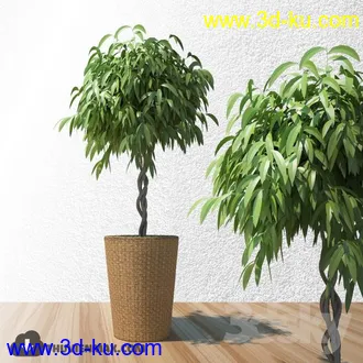 植物模型,盆景,盆栽,花盆等模型合集的图片