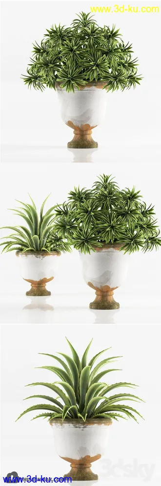 植物模型,盆景,盆栽,花盆等模型合集的图片