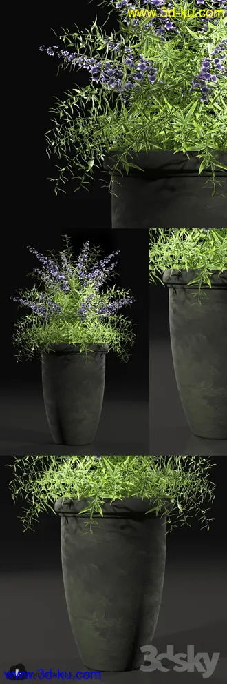 植物模型,盆景,盆栽,花盆等模型合集的图片