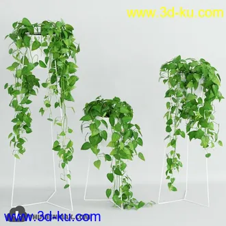 植物模型,盆景,盆栽,花盆等模型合集的图片