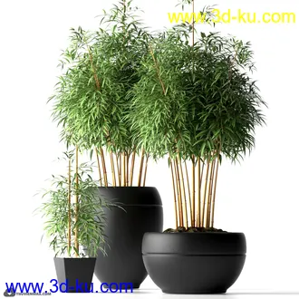 植物模型,盆景,盆栽,花盆等模型合集的图片