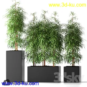 植物模型,盆景,盆栽,花盆等模型合集的图片