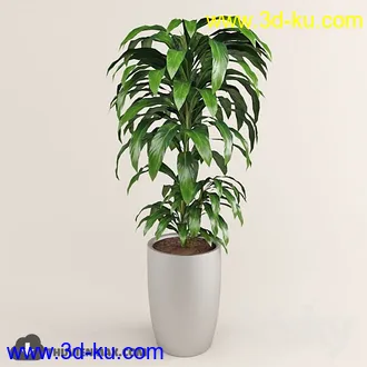 植物模型,盆景,盆栽,花盆等模型合集的图片15