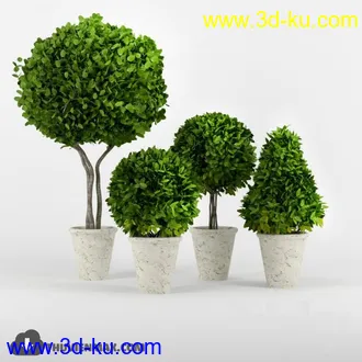 植物模型,盆景,盆栽,花盆等模型合集的图片