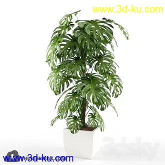植物模型,盆景,盆栽,花盆等模型合集的图片