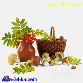 水果和蔬菜模型合集,木瓜,李果,苹果,梨子,水蜜桃,樱桃,柠檬,香蕉,草莓,玉米,芹菜等模型的图片