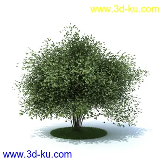植物,喷泉,花园,椅子,小池子,长凳,篱笆,小木桥等模型合集的图片3
