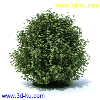 植物,喷泉,花园,椅子,小池子,长凳,篱笆,小木桥等模型合集的图片5