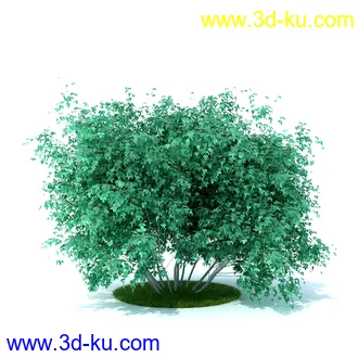 植物,喷泉,花园,椅子,小池子,长凳,篱笆,小木桥等模型合集的图片6
