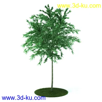 植物,喷泉,花园,椅子,小池子,长凳,篱笆,小木桥等模型合集的图片7