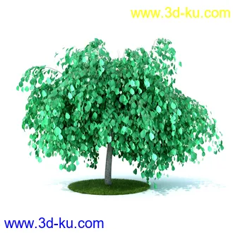 植物,喷泉,花园,椅子,小池子,长凳,篱笆,小木桥等模型合集的图片8
